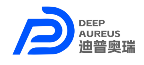 大庆迪普奥瑞国际能源开发有限公司